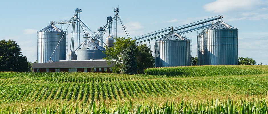 Agriculture